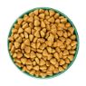 JWB Adult Dog Grain Free Turkey & Veg 10kg