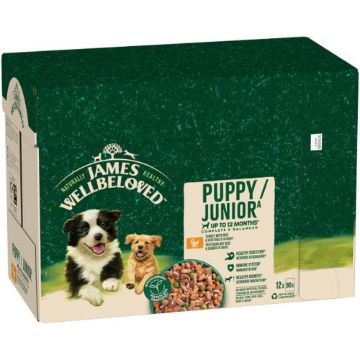 JWB Puppy / Junior Pouch Turkey 90g 12pk x 1
