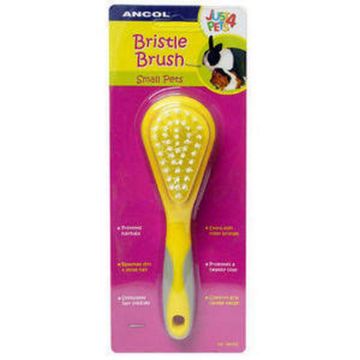 Ancol Small Animal Bristle Brush x 1