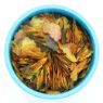 Aquarian Tropical & Temperate Flake Fish Food 50g x 6