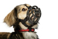 Baskerville Ultra Basket Muzzle Size 1 x 1