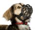Baskerville Ultra Basket Muzzle Size 1 x 1