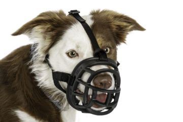 Baskerville Ultra Basket Muzzle Size 3 x 1