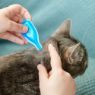 Beaphar FIPROtec Cat Flea Drops 1 Tube x 1