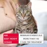 Beaphar FIPROtec COMBO Cat Spot On 1 Tube x 1