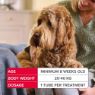 Beaphar FIPROtec COMBO Large Dog Spot On 1 Tube x 1