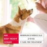 Beaphar FIPROtec COMBO Small Dog Spot On 3 Tube x 1