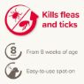 Beaphar FIPROtec Large Dog Flea Drops 1 Tube x 1