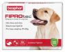 Beaphar FIPROtec Large Dog Flea Drops 6 Tube x 1