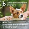 Beaphar Insecticidal Dog Shampoo 250ml x 1