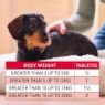 Beaphar Worm Clear Small Dog 2 tab x 1