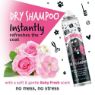 Bugalugs Baby Fresh Dry Shampoo 200ml x 1