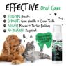 Bugalugs Dental Care Foam 200ml x 1