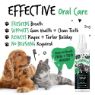 Bugalugs Dental Care Spray 200ml x 1