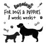 Bugalugs 4-in-1 Lavender and Chamomile Shampoo 250ml x 1