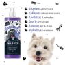 Bugalugs Maxi White Whitening Shampoo 500ml x 1