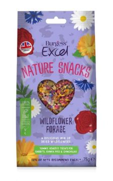 Excel Wildflower Forage 75g x 6