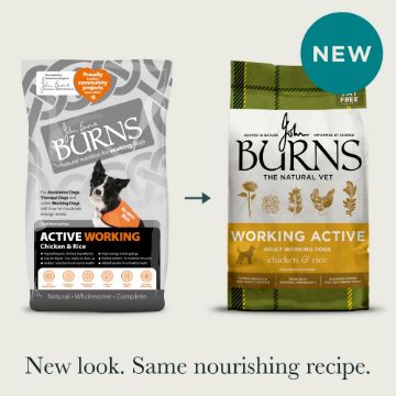 Burns Working Active Dog 12kg