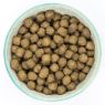 Burns Dog Alert Assistance Lamb & Brown Rice 12kg