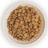 Burns Cat Adult & Senior Chicken & Brown Rice 1.5kg x 1