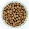 Burns Sensitive Dog Duck & Brown Rice 12kg
