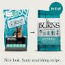 Burns Original Adult Dog Fish & Brown Rice 2kg