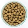Burns Original Adult Dog Fish & Brown Rice 2kg