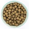 Burns Grain Free Puppy Duck & Potato 2kg