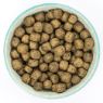 Burns Grain Free Puppy Duck & Potato 6kg