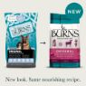 Burns Original Adult Dog Lamb & Brown Rice 2kg