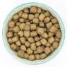Burns Original Adult Dog Lamb & Brown Rice 2kg