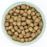 Burns Original Adult Dog Lamb & Brown Rice 6kg