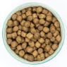 Burns Puppy Original Chicken & Rice 2kg
