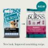 Burns Puppy Original Lamb & Rice 2kg