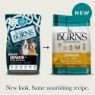 Burns Senior+ Dog Medium/Large Breed Chicken & Brown Rice 12kg