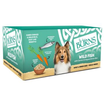 Burns Tray Adult Dog Fish 150g x 7