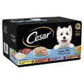Cesar Foil Tray Senior 10+ in Delicate Jelly 150g 8-pk x 3