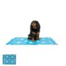 Ancol Ice Paws Cooling MAT - Small Blue 60 x 45cm x 1