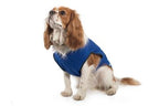 Ancol Cooling Dog Vest X-Large 22"-26" x 1