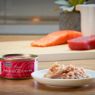 Fish4Cats Cans Tuna Fillet with Salmon 70g x 10