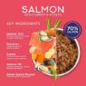 Fish4Dogs Cans Salmon with Carrot & Potato 395g x 6
