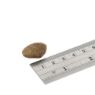 Fish4Dogs Finest Adult White Fish Large Kibble 1.5kg