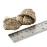Fish4Dogs Dental Sea Jerky Fish Knots 500g x 4