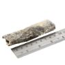 Fish4Dogs Dental Sea Jerky Fish Strips 100g x 10