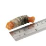 Fish4Dogs Love Sweet Potato Fish Wraps 100g x 10