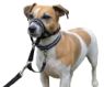 Halti Headcollar Black Size 0 x 1