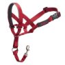 Halti Headcollar Red Size 2 x 1