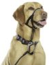 Halti Headcollar Black Size 5 x 1