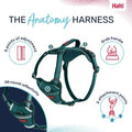Halti Anatomy Harness Small Teal x 1
