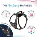 Halti Anatomy Harness X-Large Grey x 1
